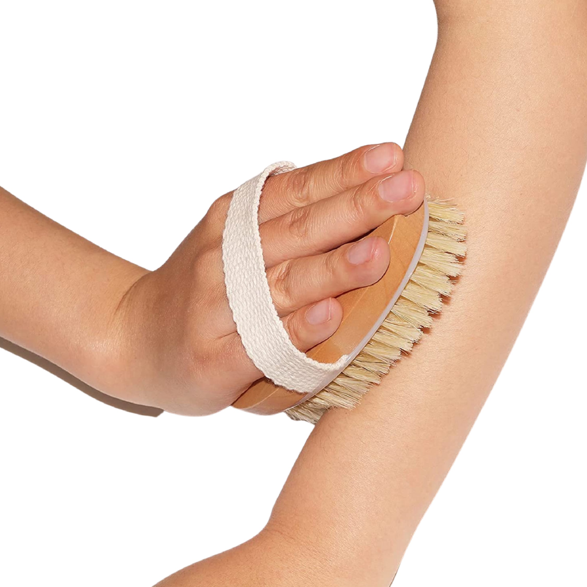 Premium Vegan Dry Brush image 1