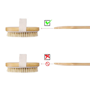 Premium Vegan Dry Brush image 2